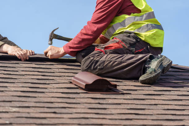 Best Roofing Contractor Near Me  in Perry, MI