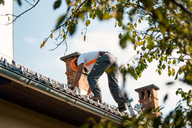Best Affordable Roofing Company  in Perry, MI