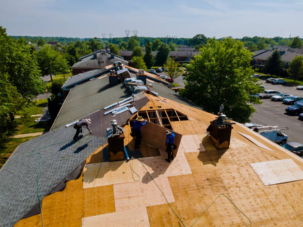 Quick and Trustworthy Emergency Roof Repair Services in Perry, MI