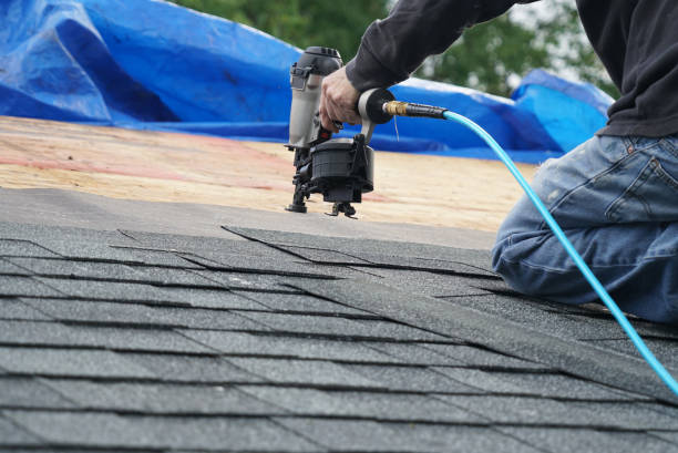 Best Local Roofing Companies  in Perry, MI