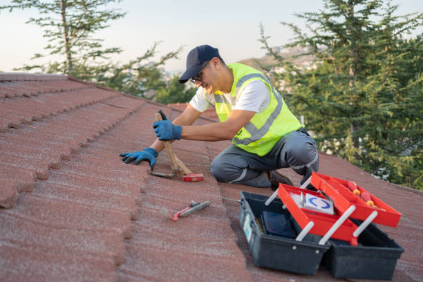 Best Sealant for Roof  in Perry, MI