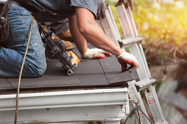 Best Roof Maintenance Services  in Perry, MI