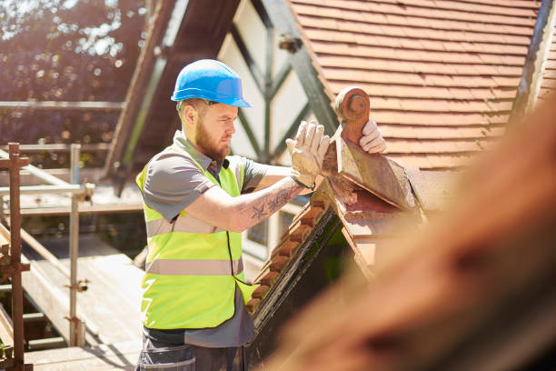 Best Roof Restoration Services  in Perry, MI