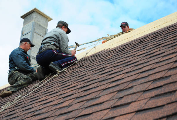 Best Residential Roofing Contractor  in Perry, MI