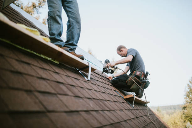 Best Roof Repair Services  in Perry, MI