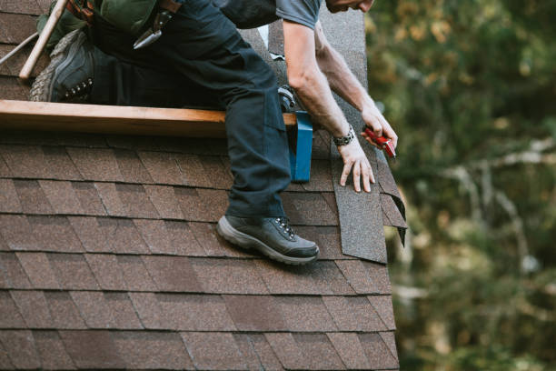 Best Roof Leak Repair  in Perry, MI