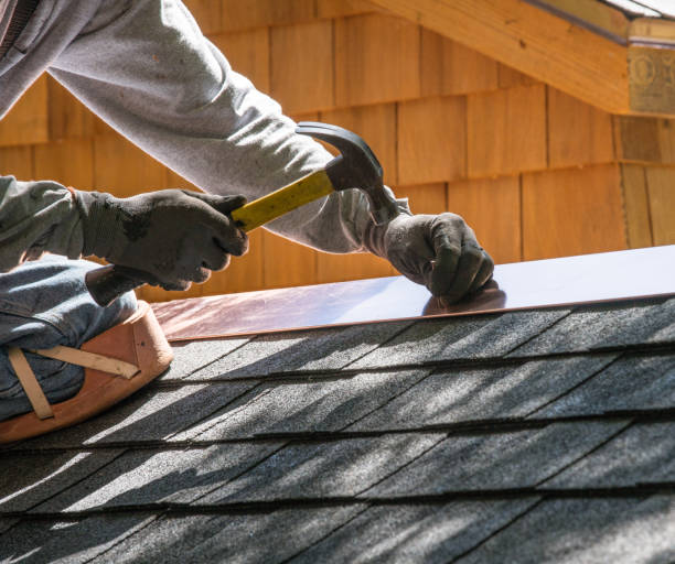 Best Roof Gutter Cleaning  in Perry, MI